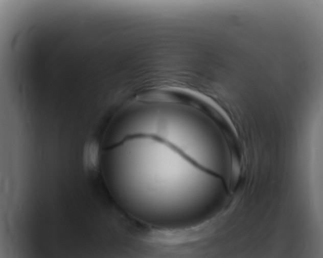 X0000089760041200706281652