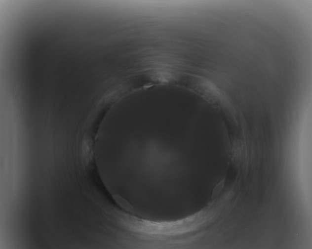 X0000089760043200706281651