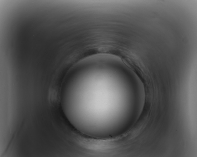 X0000089760044200706281651