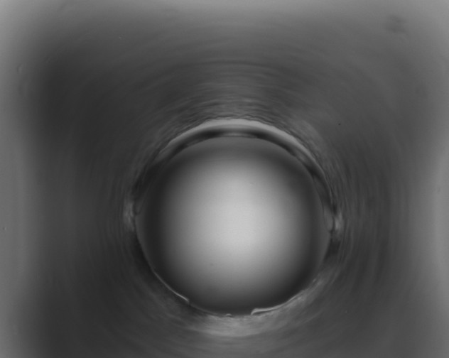 X0000089760045200706281651