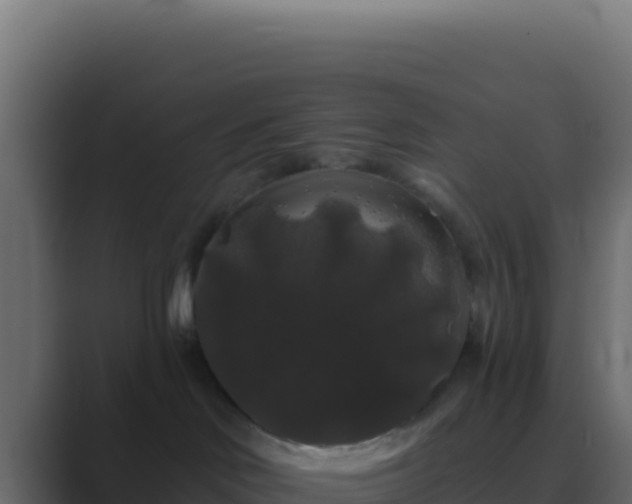 X0000089760046200706281651