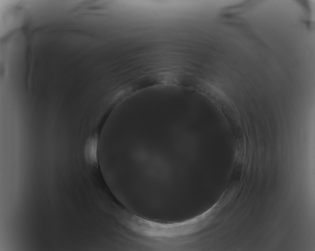 X0000089760047200706281651