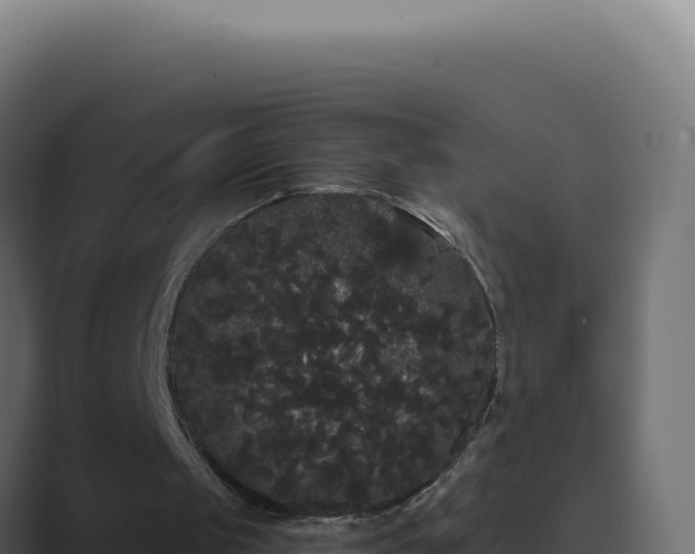 X0000089760049200706281651