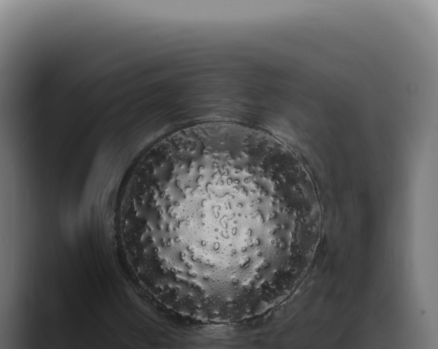 X0000089760050200706281651