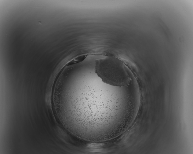 X0000089760051200706281651