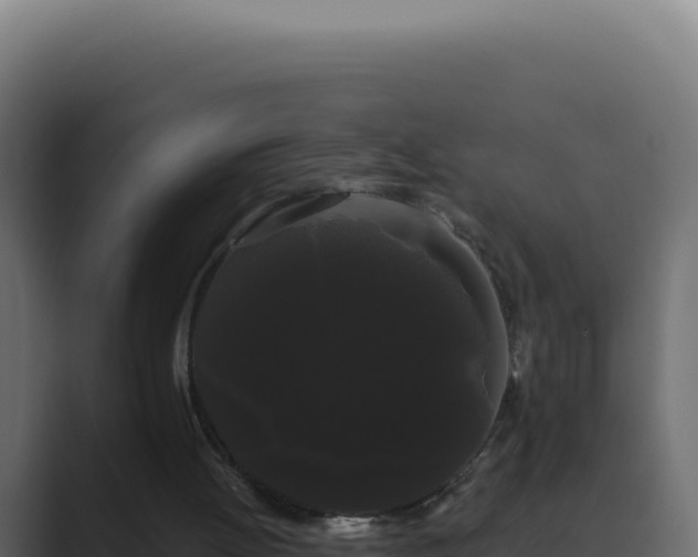 X0000089760052200706281651