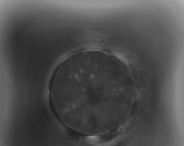 X0000089760053200706281651