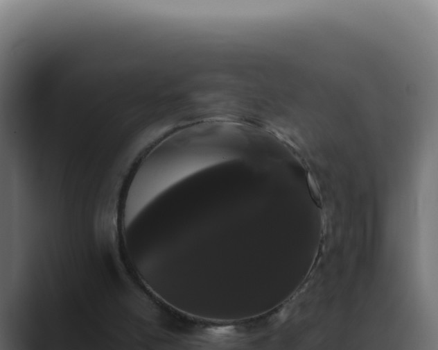 X0000089760054200706281651