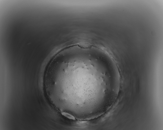 X0000089760055200706281651