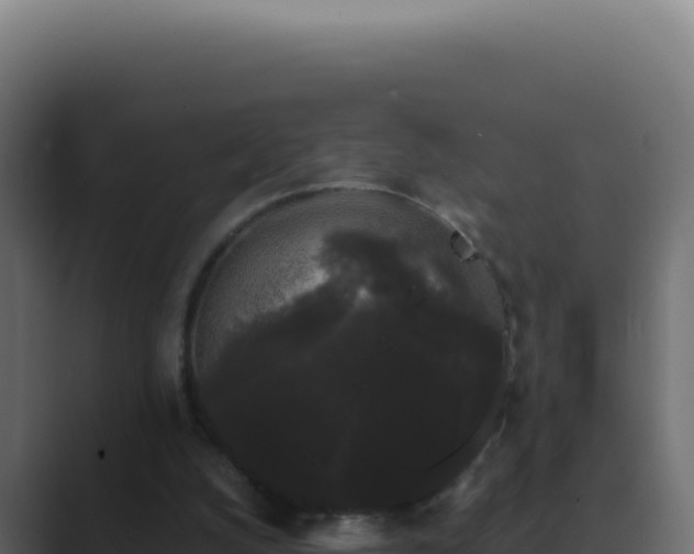 X0000089760056200706281651