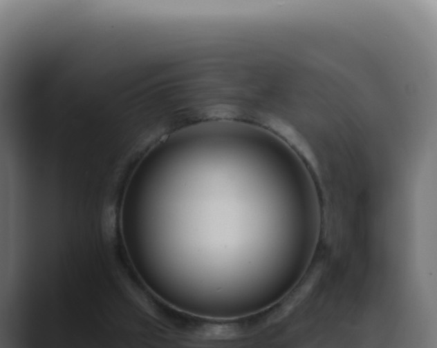 X0000089760057200706281651