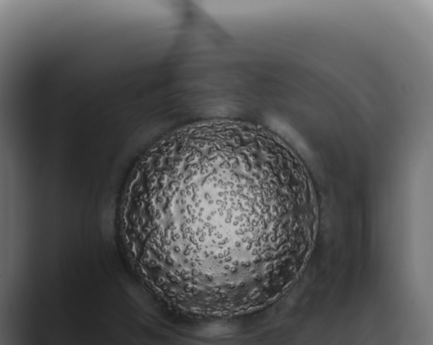 X0000089760058200706281651