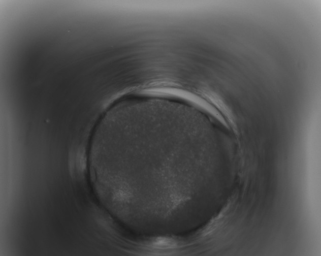 X0000089760060200706281651