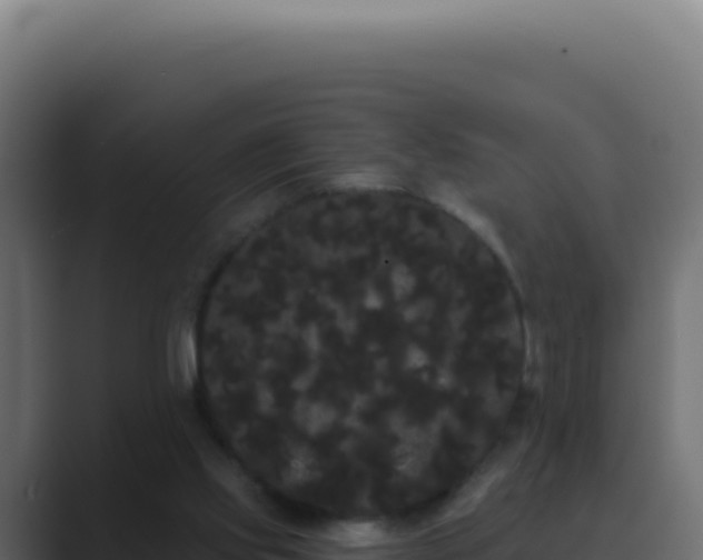 X0000089760061200706281651