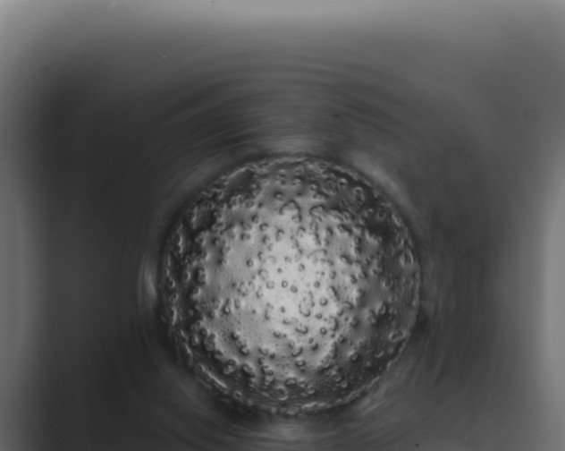 X0000089760062200706281651