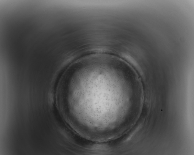 X0000089760063200706281651