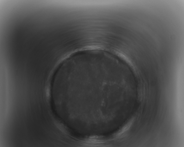 X0000089760064200706281651