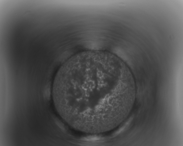 X0000089760065200706281651