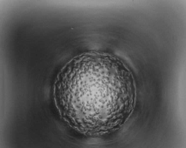 X0000089760066200706281651