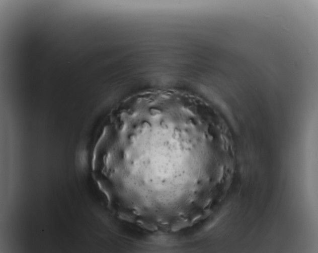 X0000089760067200706281651