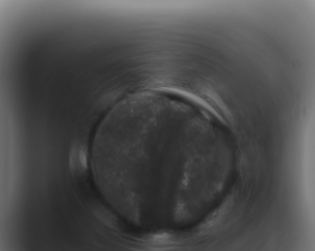 X0000089760068200706281651