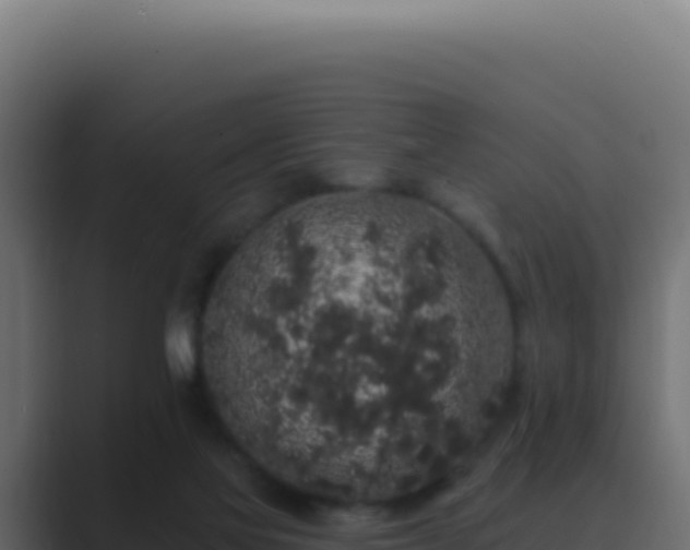 X0000089760069200706281651