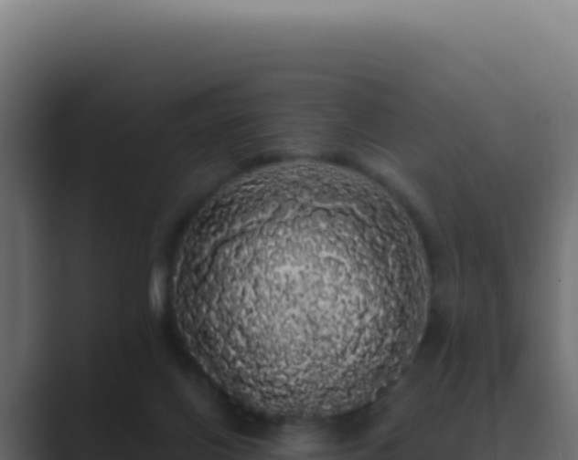 X0000089760070200706281651