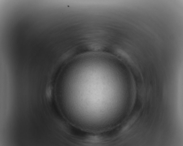 X0000089760071200706281651