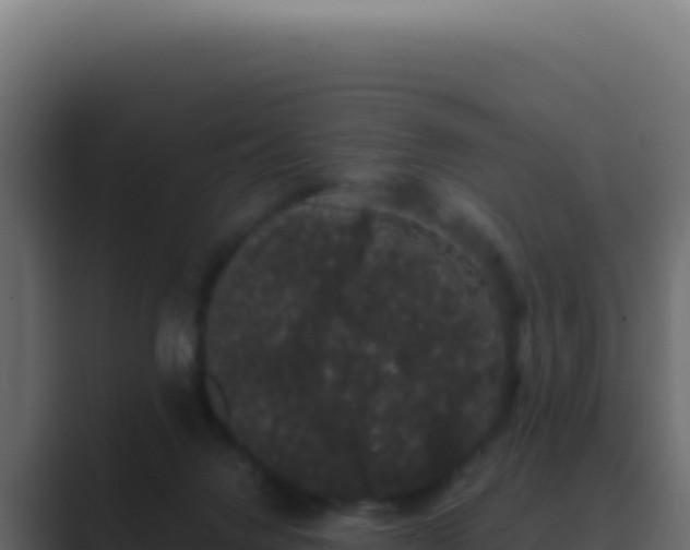 X0000089760072200706281651