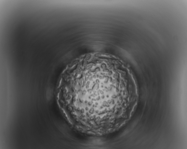 X0000089760073200706281651