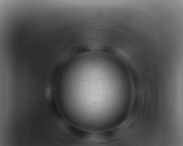 X0000089760074200706281651