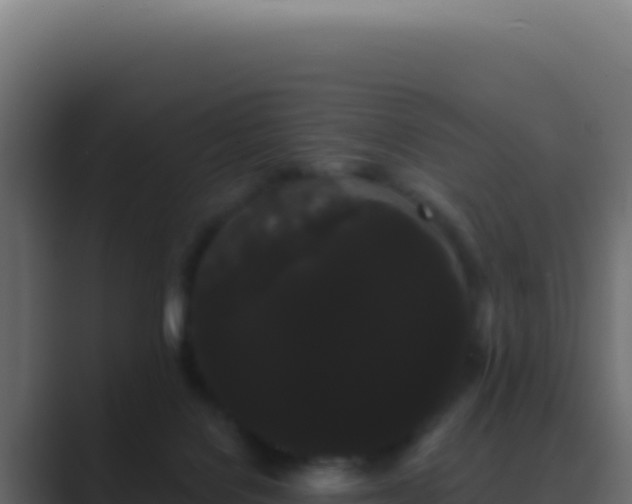 X0000089760076200706281651