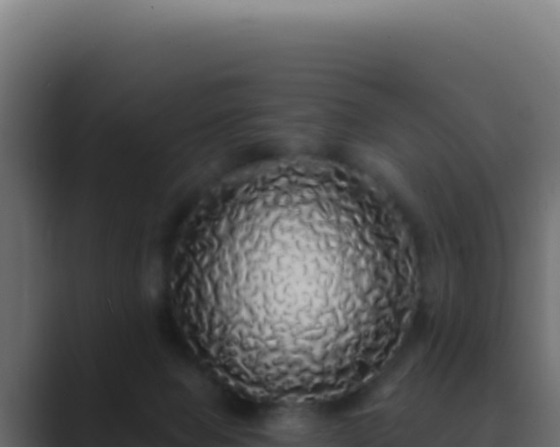 X0000089760077200706281651