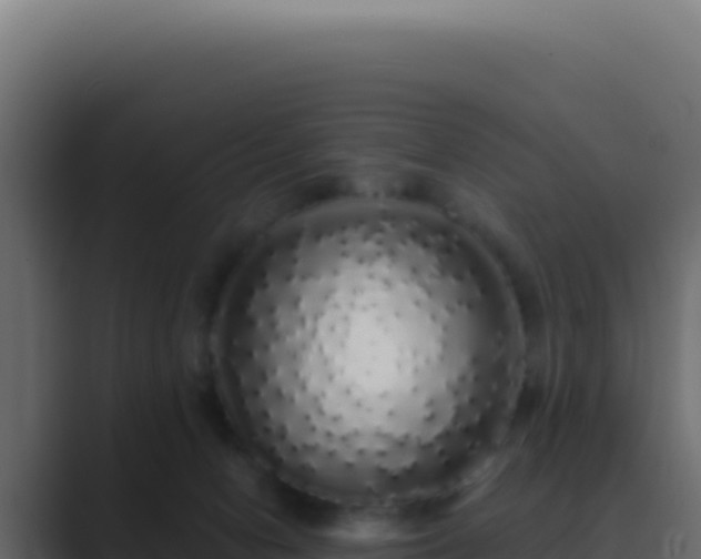 X0000089760078200706281651