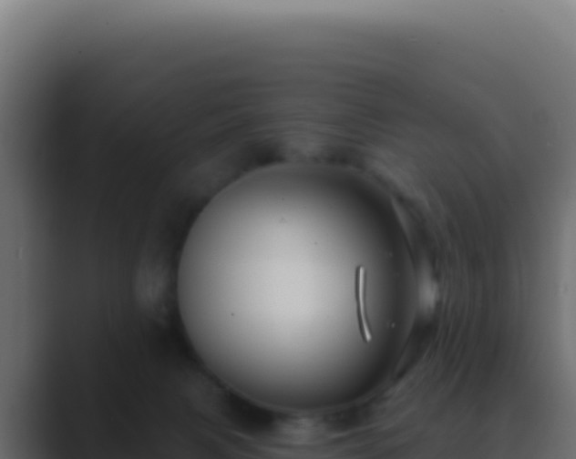 X0000089760079200706281651