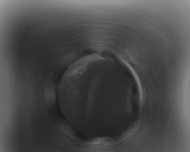 X0000089760080200706281651