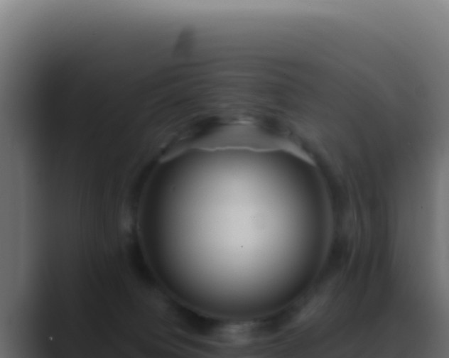 X0000089760084200706281651