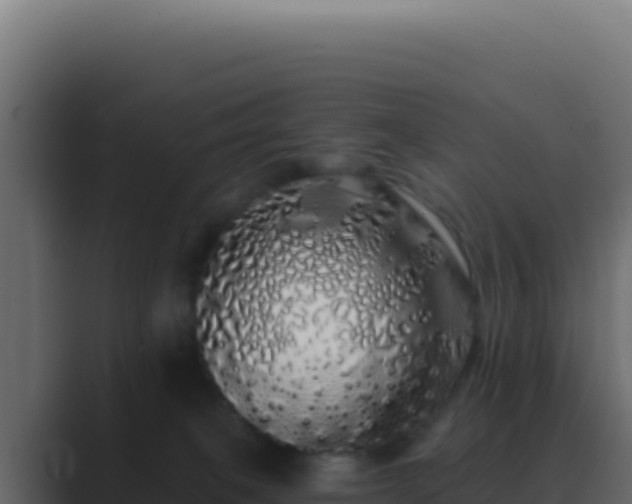 X0000089760085200706281651