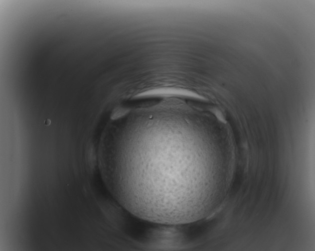 X0000089760086200706281651