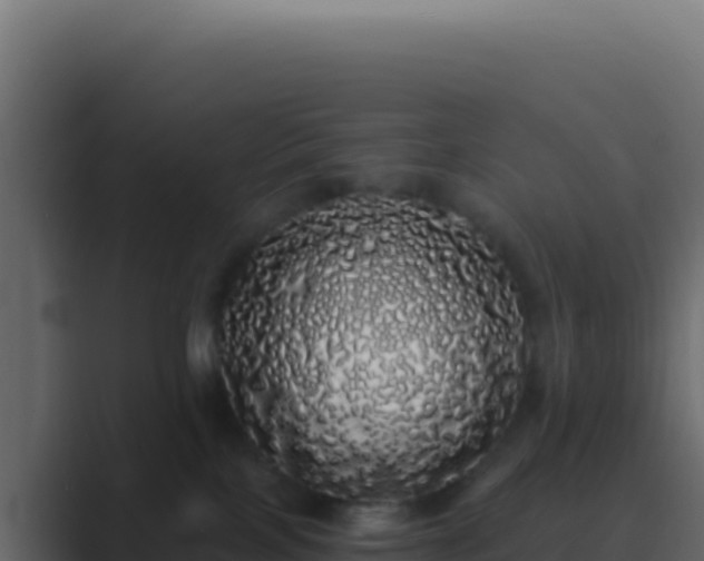 X0000089760089200706281651