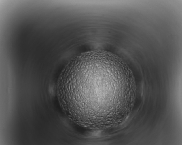 X0000089760090200706281651