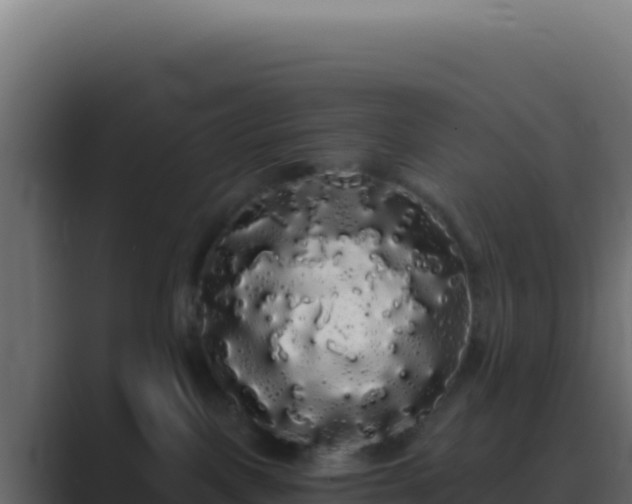 X0000089760093200706281651