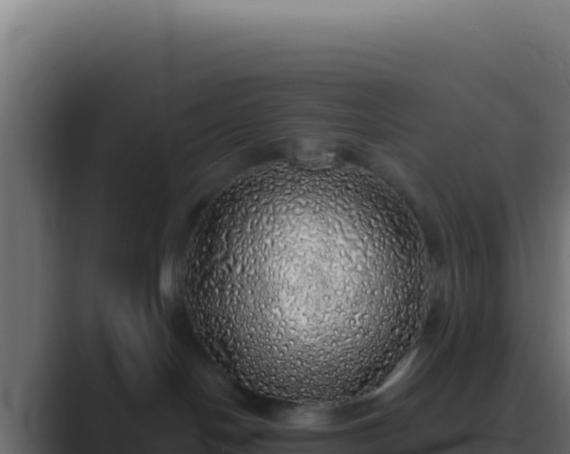 X0000089760094200706281651