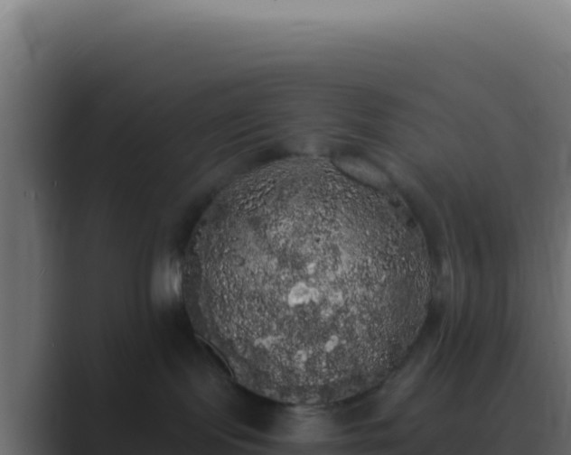 X0000089760095200706281651