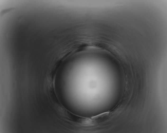 X0000089760096200706281651