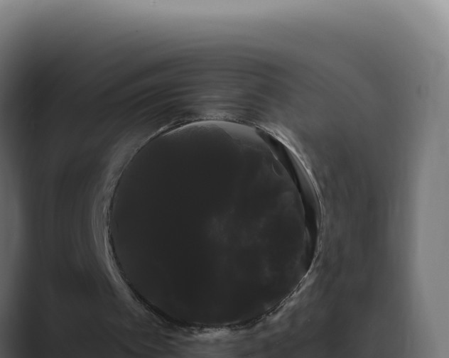 X0000089760097200706281651