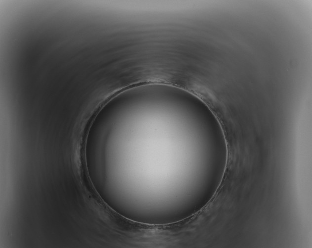 X0000089760098200706281651