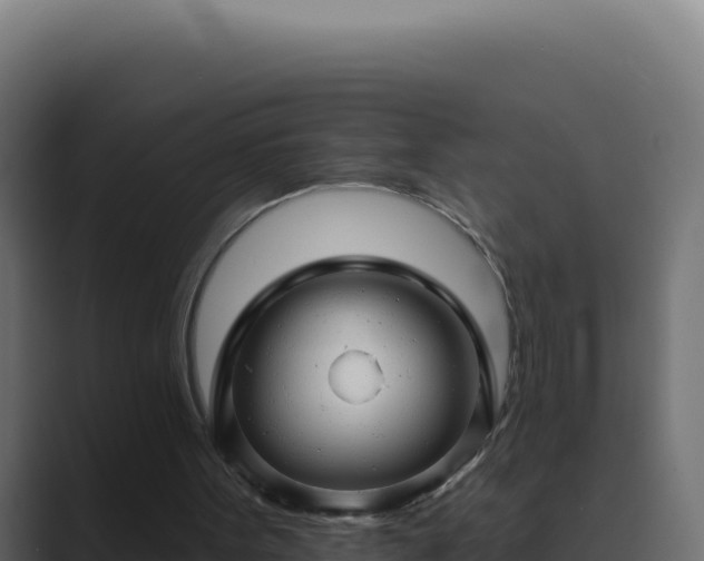 X0000089760099200706281651