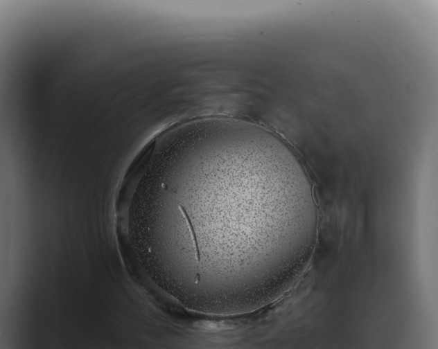 X0000089760100200706281651