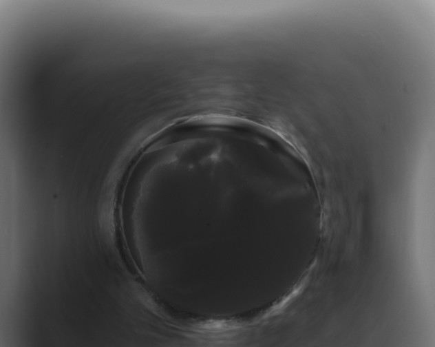 X0000089760101200706281651